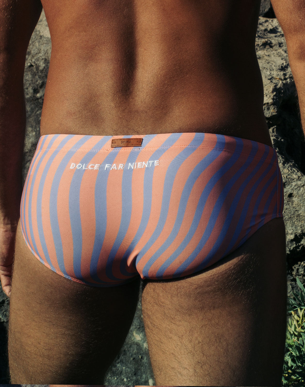 V40 Printed Swim Sunga - Dolce Purple