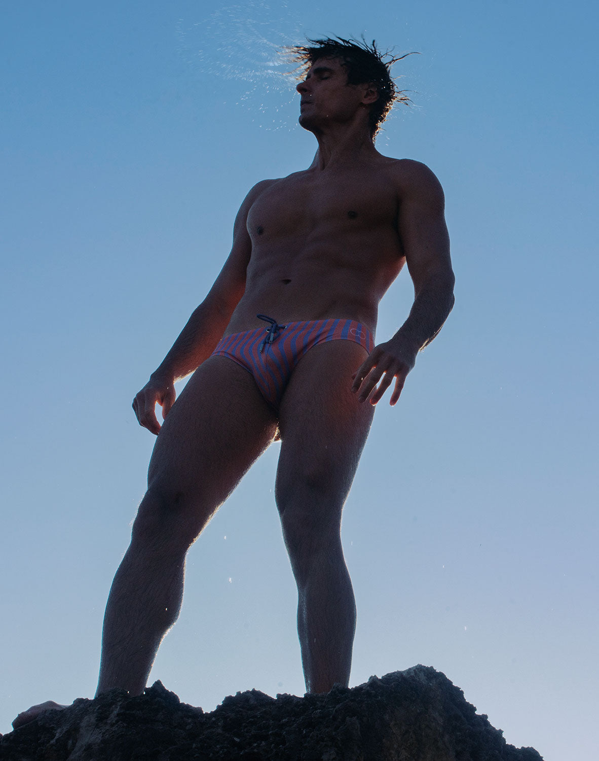 V10 Printed Swim Brief - Dolce Purple
