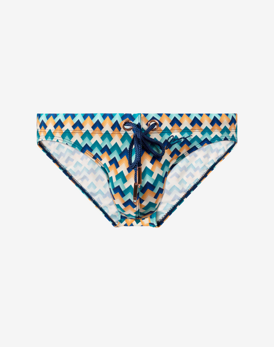 V20 Printed Swim Brief - Chevy Blue