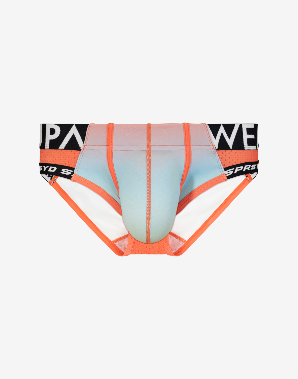 SPR Performance Gradient Brief Underwear - Rainbow