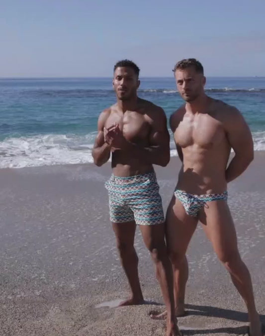 V20 Printed Swim Brief - Chevy Blue