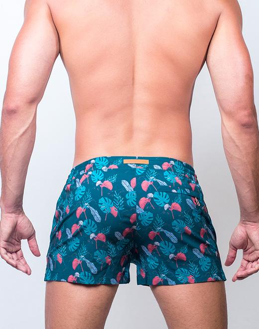 Printed Bronte Shorts - Monstera